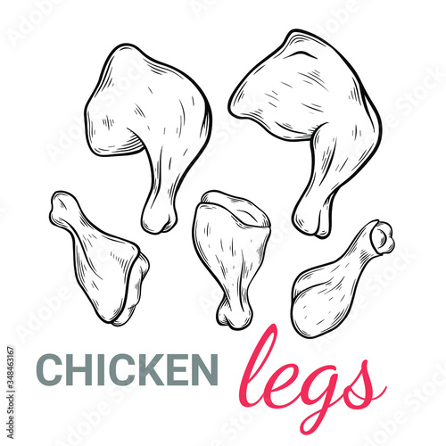 Vector set sketch style illustration of  Chicken legs, leg quarter, farming product drawing. Engraved style. Poultry natural business. object for menu, label, recipe, product packaging