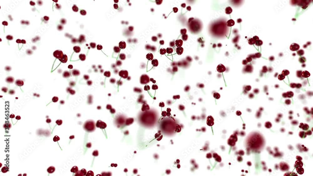 Cherries flying, against white background Cherries flying, against white background
