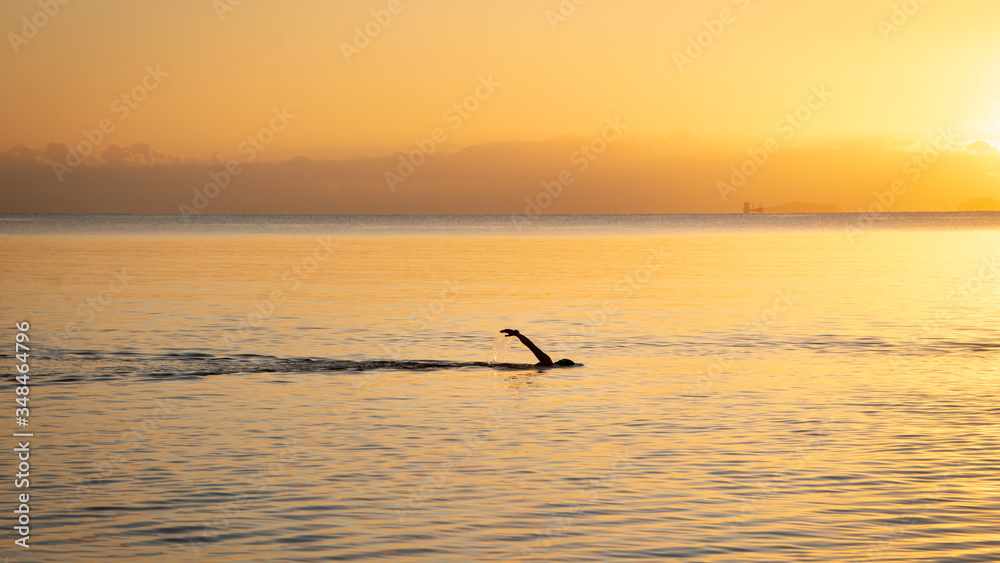 A silhouette swimmer enjoys the golden sunrise swimming.