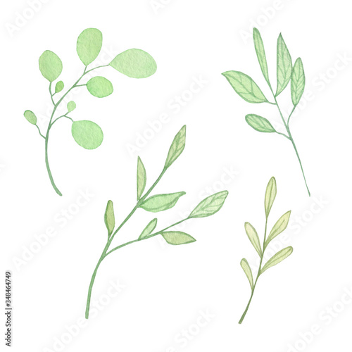 green leaves. watercolor twigs. Natural design, rustic 