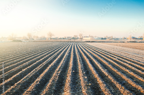 Winter farm field ready for new planting season. Agriculture and agribusiness. Preparatory agricultural work for spring. Choosing right time for sow fields plant seeds, protection from spring frosts.