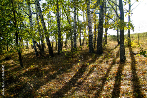 landscape of Central Russia in autumn  Tula region