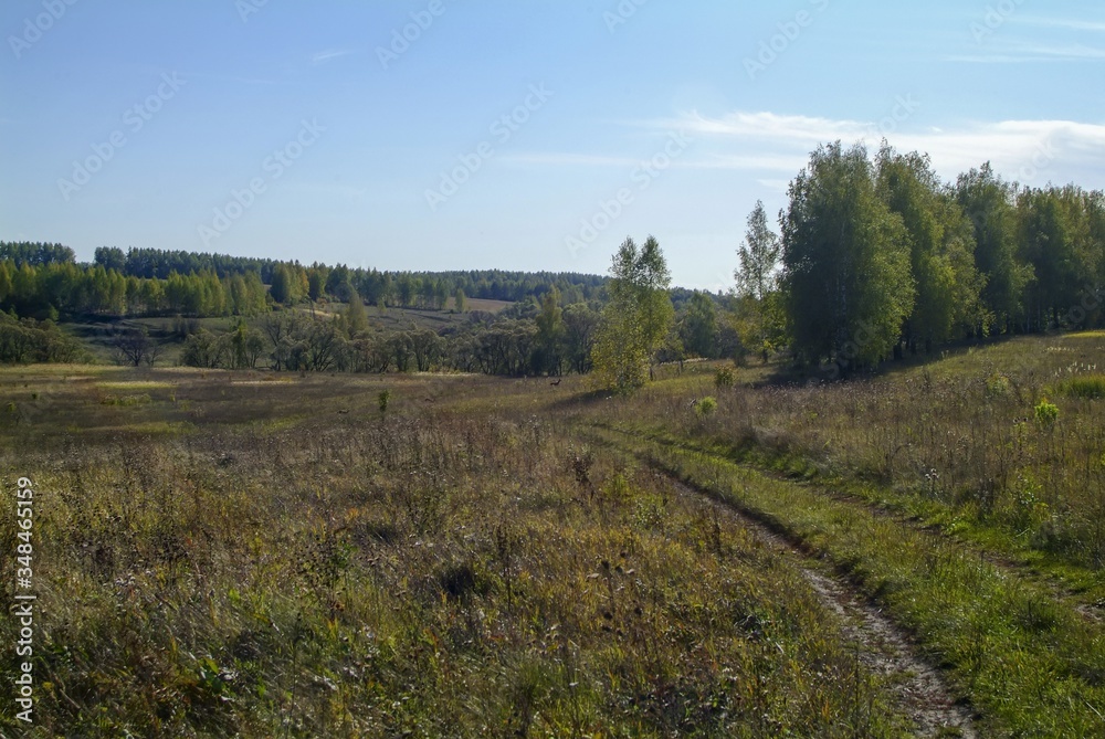 dirt road through a field in autumn, Russia