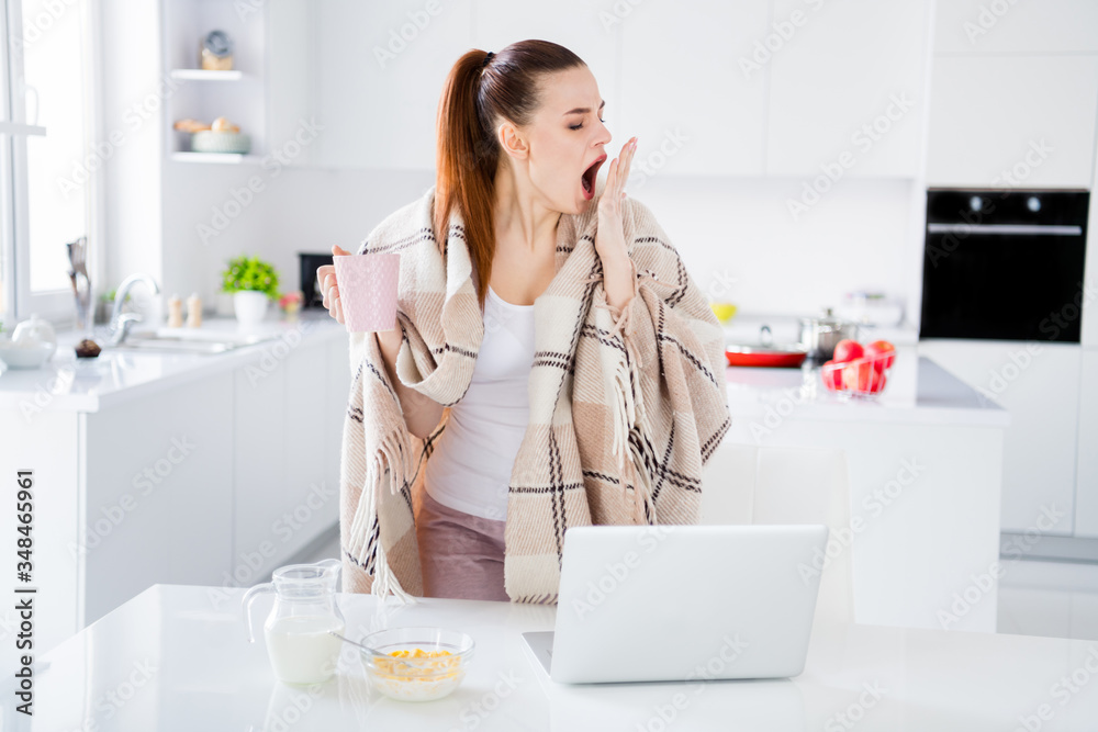 Photo of pretty housewife lady covered blanket morning lazy worker have breakfast drink fresh coffee yawning into arm turn on notebook stay home quarantine time remote worker indoors Photo of pretty housewife lady covered blanket morning lazy worker have breakfast drink fresh coffee yawning into arm turn on notebook stay home quarantine time remote worker indoors