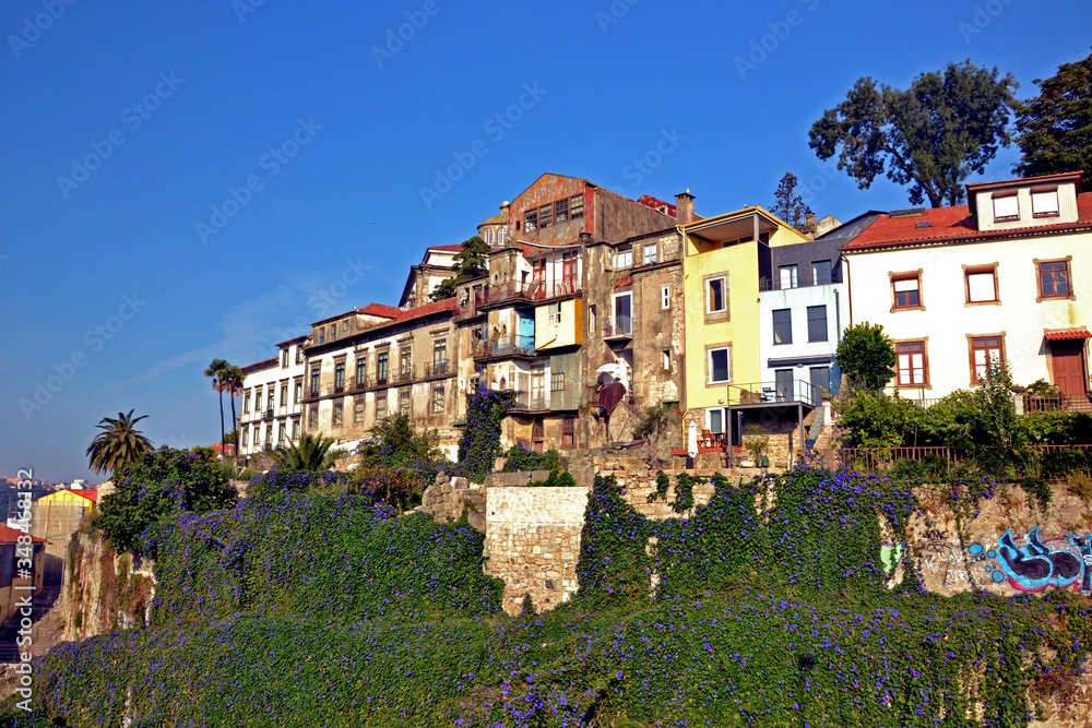 Porto, Portugal - August 17, 2015: Focus a set of buildings covered with blue flowers. It is Ipomea, also called volubilis or blue bindweed.