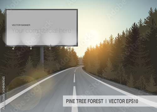 Vector coniferous forest with fir trees, long road and empty billboards for you advertisement and design