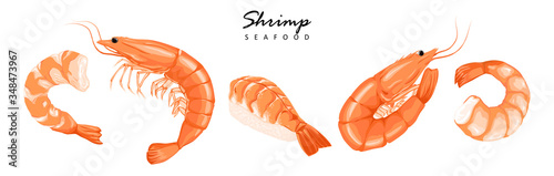 Shrimps, shrimps without shell, shrimp meat. Shrimp prawn icons set. Boiled Shrimp drawing on a white background.