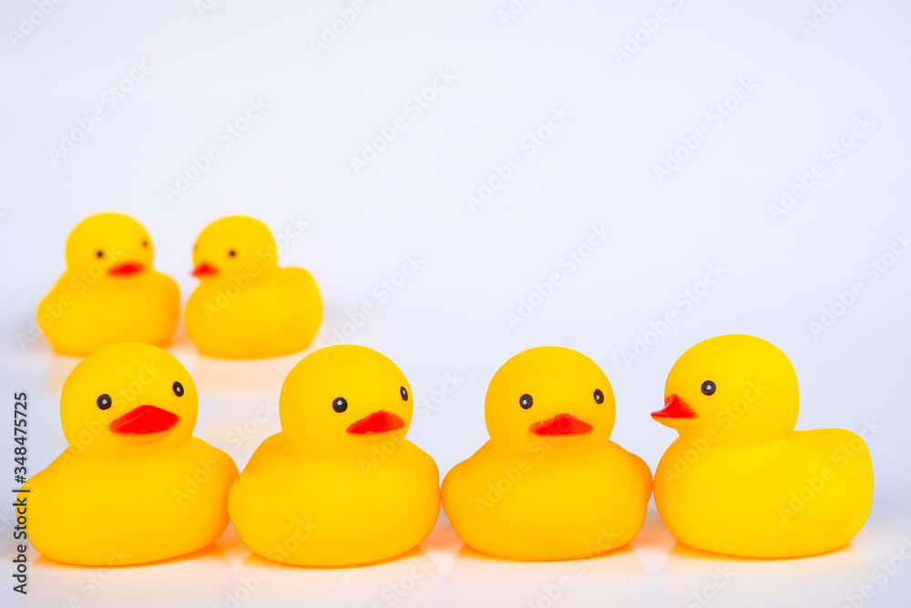 Yellow duck toys isolated on white background for friendship and unity concept.