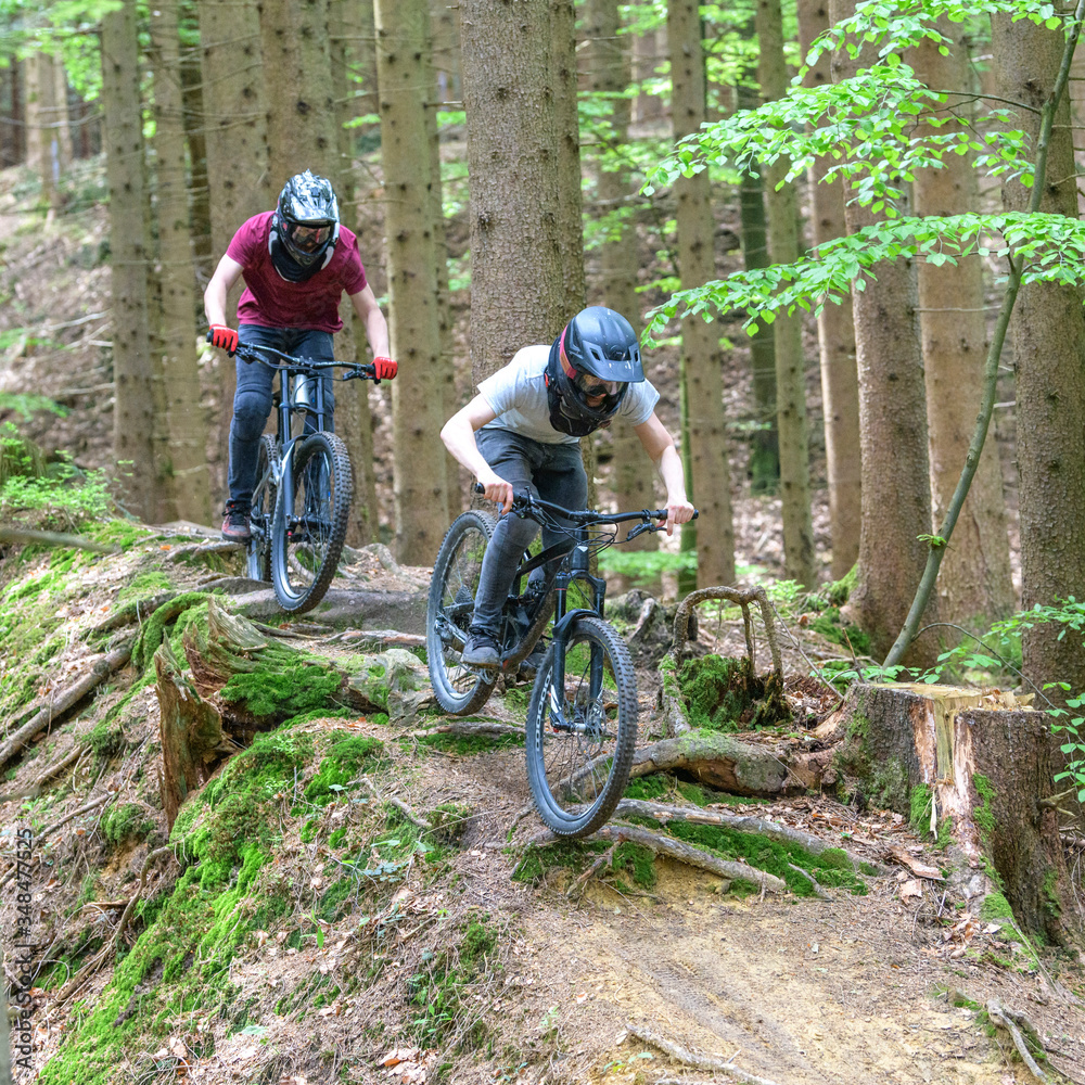Mutige Mountainbiker auf einem wurzeligen Wald-Trail