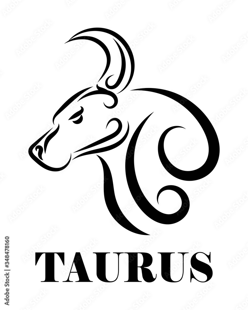 Line Vector Illustration of Bull. It is signs of the taurus zodiac. Line Vector Illustration of Bull. It is signs of the taurus zodiac.