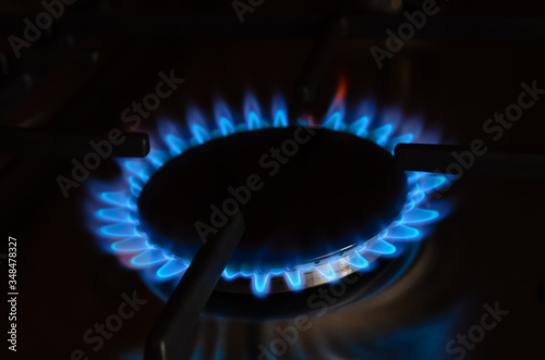 blue gas flame close up on the gas stove