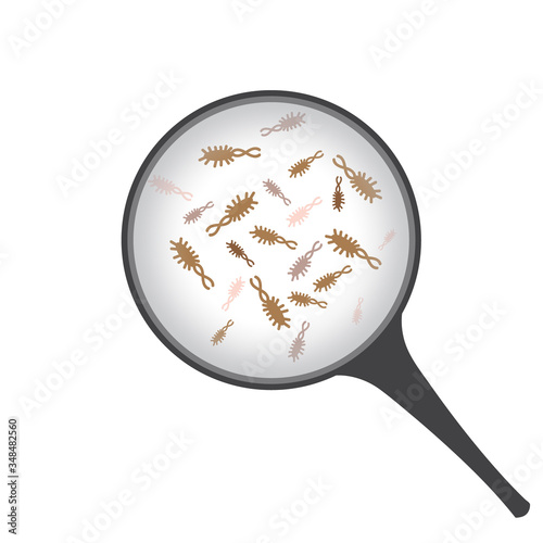 Bacteries under magnifier vector illustration on a white background