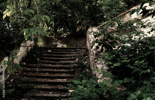 Abandoned staircase in the forest among the trees
