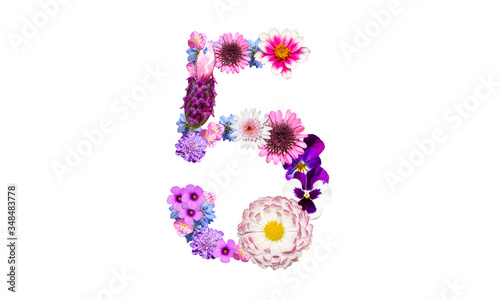 花で作った数字の5（花数字、花フォント）