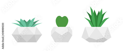 Succulents in geometric concrete pots. Vector set of home flowers. Gardening