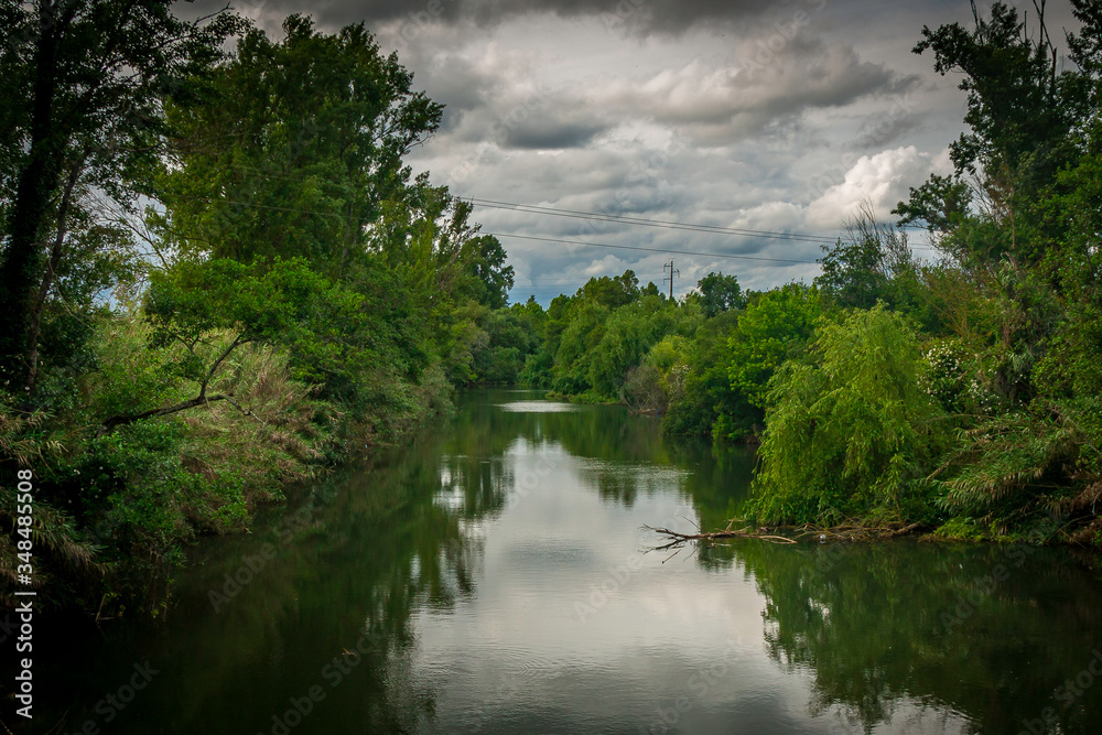 River in the forest. Nabao river, view outside of Tomar, Portugal. River in the forest. Nabao river, view outside of Tomar, Portugal.