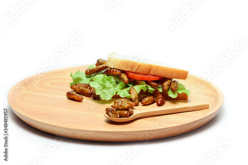 Sandwiches that use insects as a source of protein instead of meat.