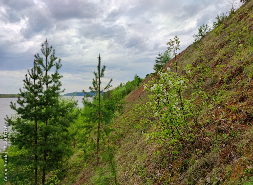 young trees on a slope near the river against the sky with clouds before the rain