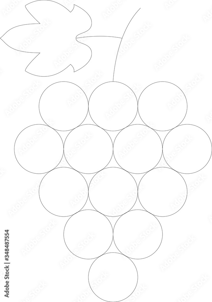 fruit fruit