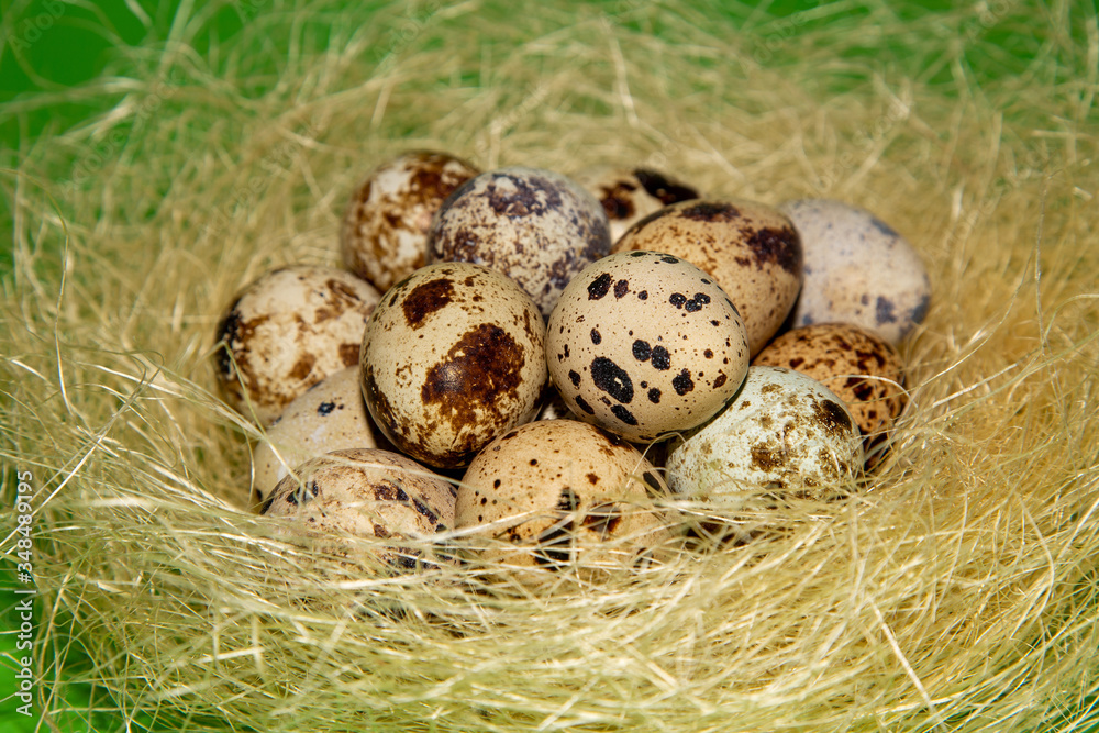 Quails eggs in the decorative nest on green background. Easter concept. Quails eggs in the decorative nest on green background. Easter concept.