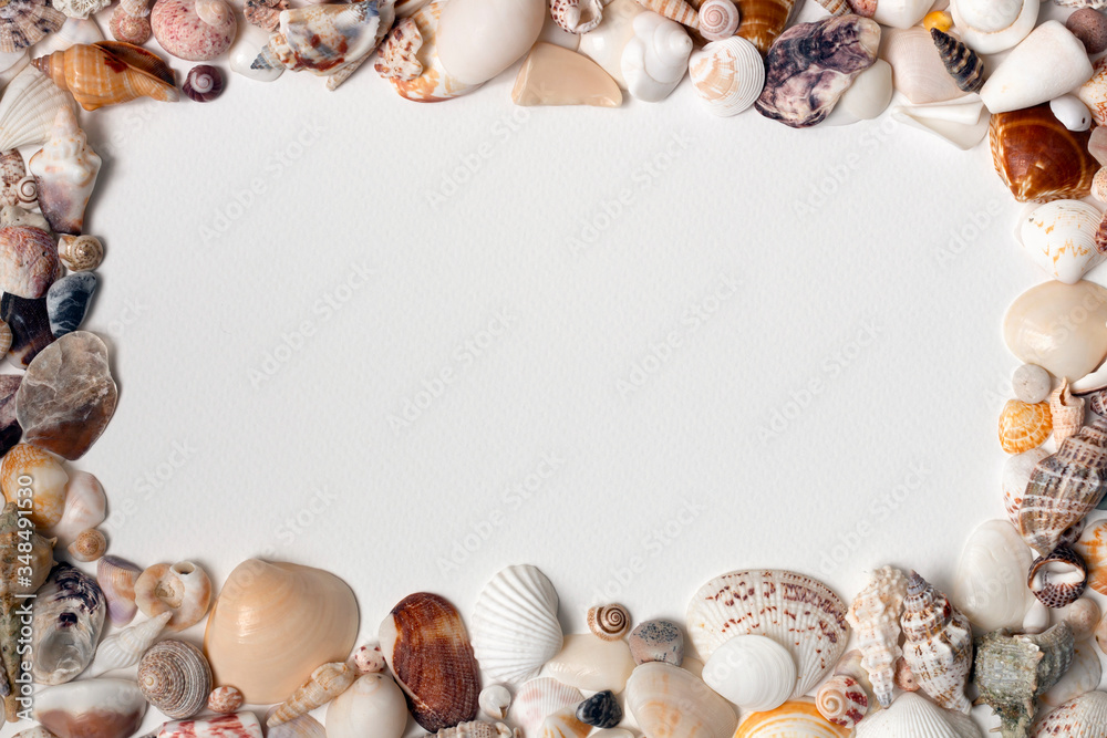 Obraz premium Frame mock up from sea shells, summer vacation concept. White paper background, top view, copy space. Series of photo in minimal style. Blanks and layouts for banners, photo book pages and brochures.