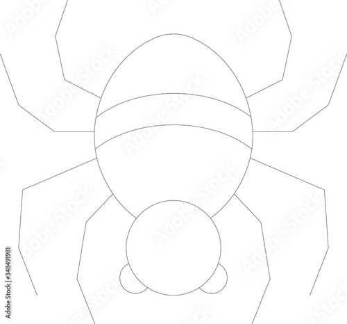 insect 