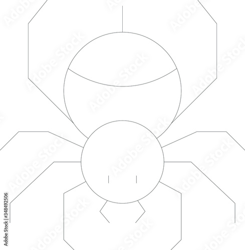 insect 