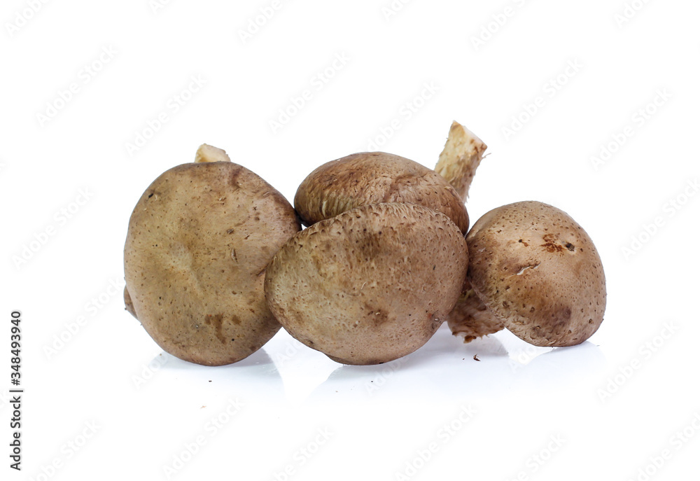Shiitake mushroom on the White background Shiitake mushroom on the White background