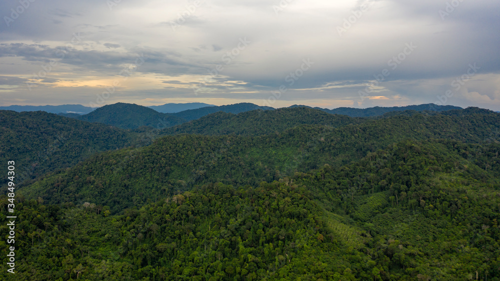 Mountain rainforest landscape aerial drone photo 