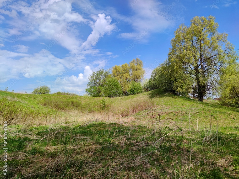trees on a green hill against the blue sky with clouds on a sunny day