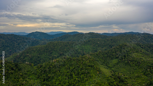 Fototapeta Naklejka Na Ścianę i Meble -  Mountain rainforest landscape aerial drone photo 