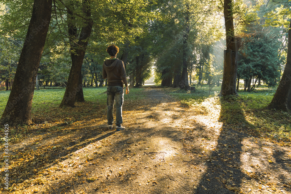 single man person back to camera stay in park outdoor space on a lonely trail road autumn season time morning sun rays