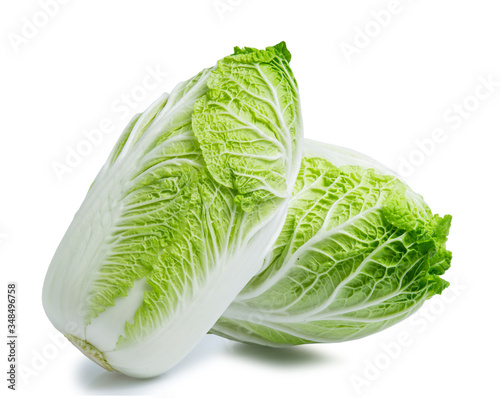 chinese cabbage isolated on white back ground vegetable