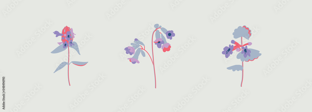 Lilac forest flowers. Glechoma, Mint, Pulmonaria, Prunella. Grassy meadow plants. Floral design. Vector flowers in a modern color scheme. Garden flora. 
Botanical illustration