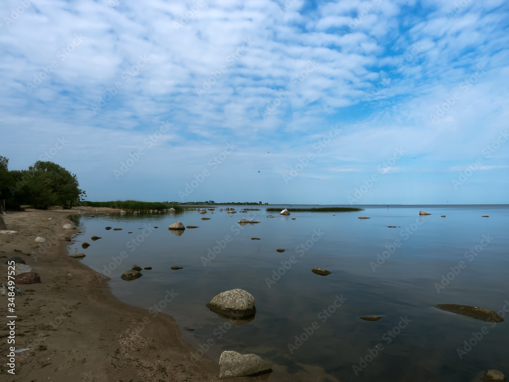 Sea birds take off from the shore. A flock of birds on the shore of a reservoir.