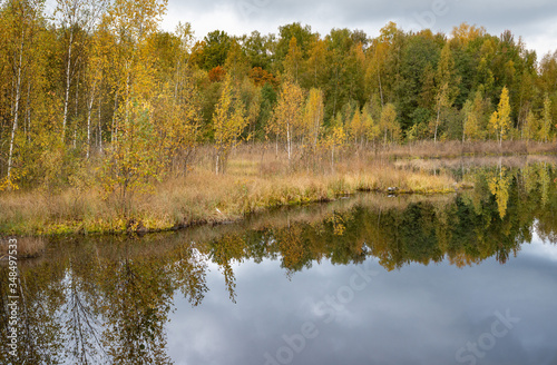 marsh, Lake