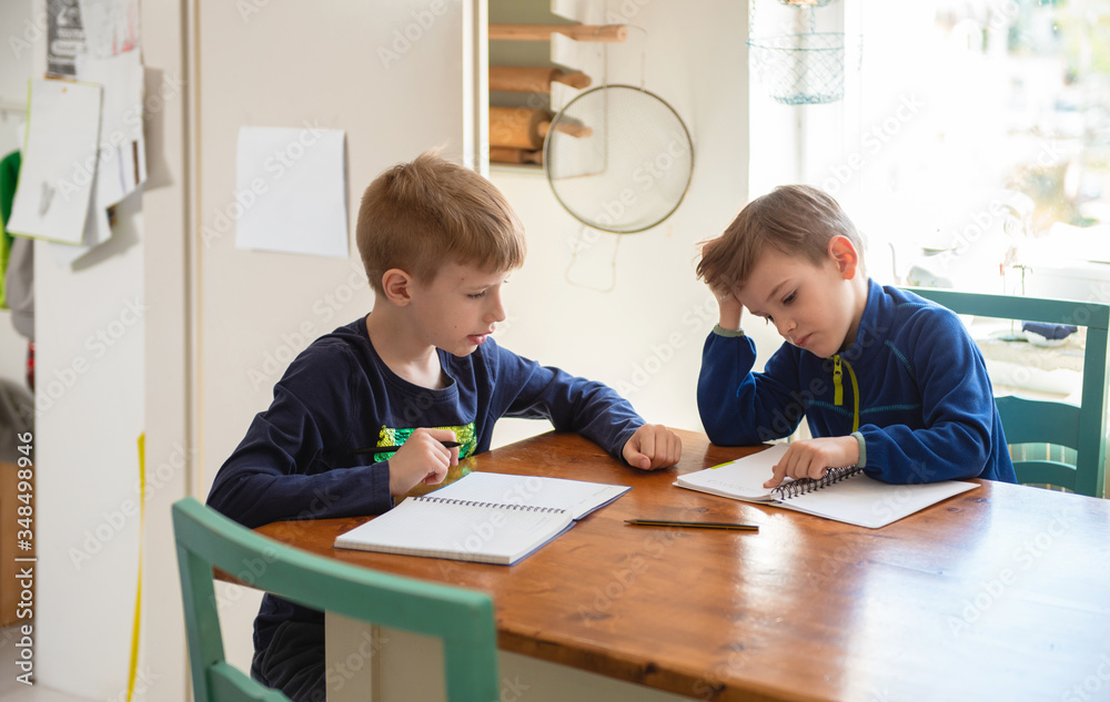 Brothers learning at home, Homeschooling Brothers learning at home, Homeschooling