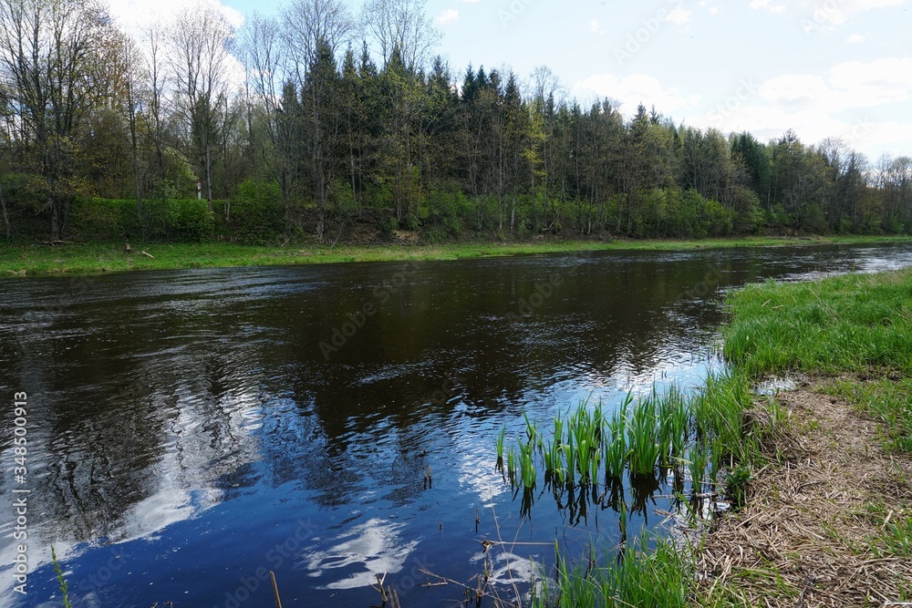River Memele near Kurmene in spring on a sunny day, Latvia