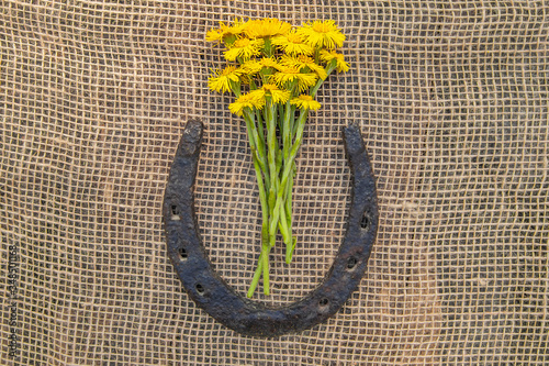 Horseshoe with yellow flowers. A symbol of success, good luck, wealth.