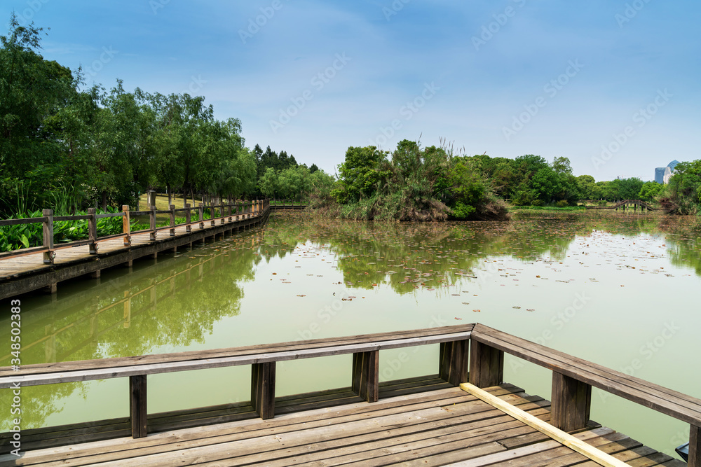 Sydney city building and park