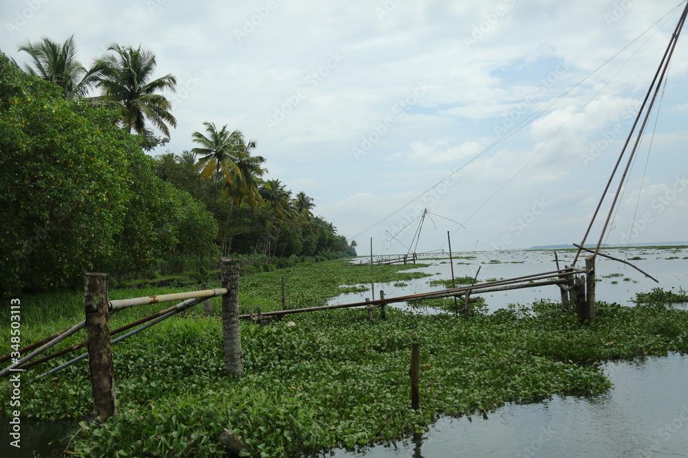 Vembanad lake is the longest lake in India,[1]and the largest lake in the state of Kerala[Mangrove with area 2114 sq. Km is 
