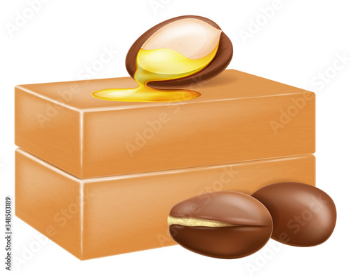 Natural handmade argan soap with argan nuts. Vector illustration.