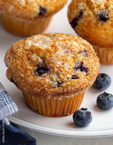 Closeup of a Blueberry Muffin and Fresh Berries