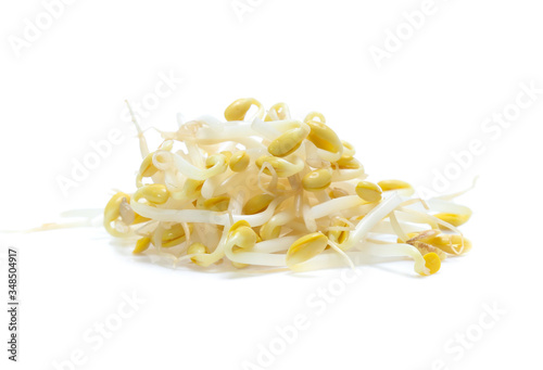 Bean Sprouts  isolated on White Background
