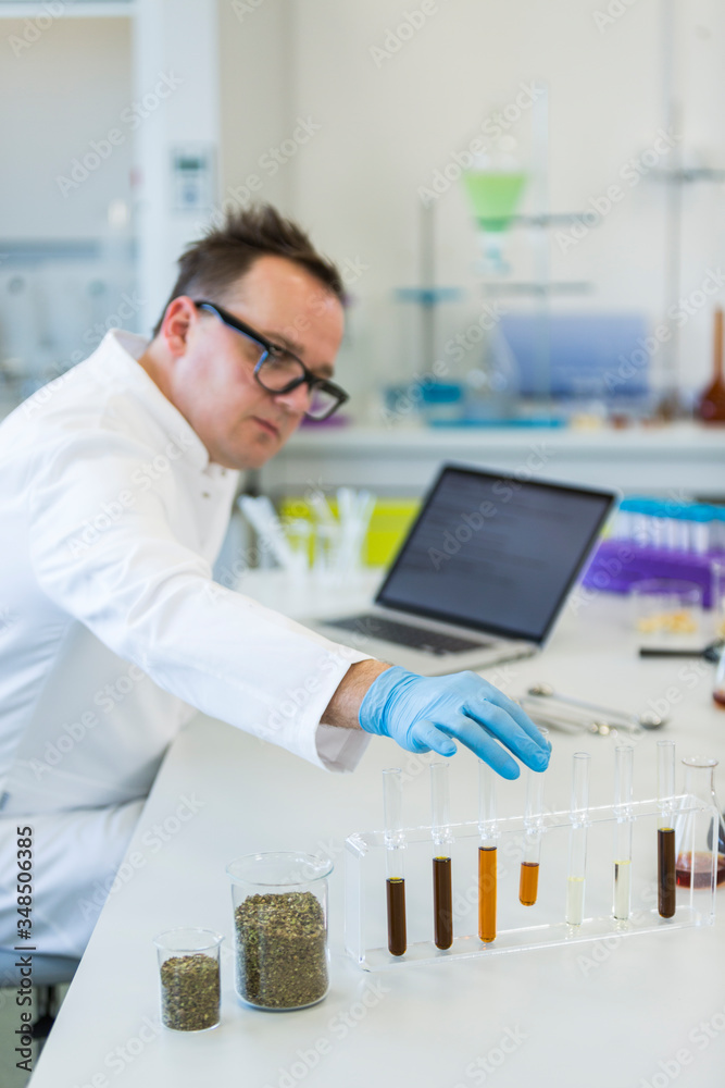 Chemist works with hemp CBDa oil in laboratory Chemist works with hemp CBDa oil in laboratory