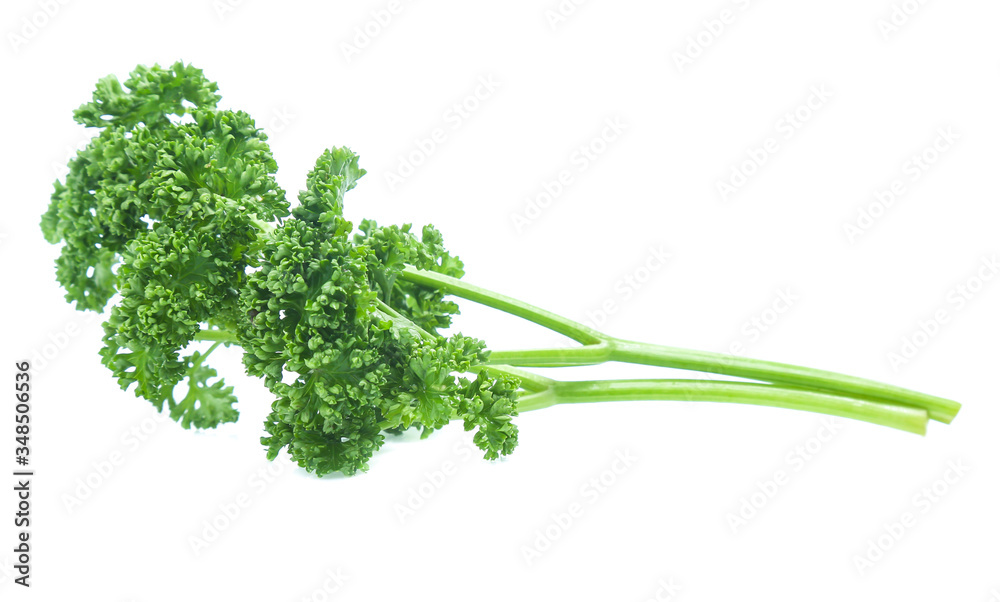 Parsley isolated on white background Parsley isolated on white background