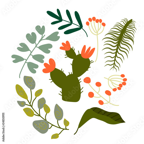Pattern set of a lot of different green tropical exotic leaves, plants with long branches and flowers on white background. Collection of completed and isolated vector illustrations. Wallpapers