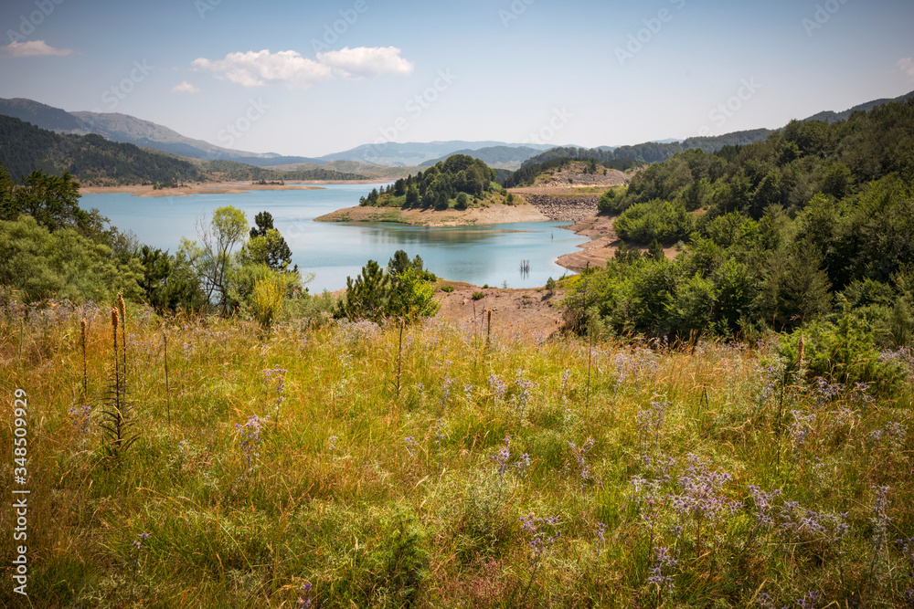 a meadow view of the lake of Metsovo, with forest, mountains and flowers
