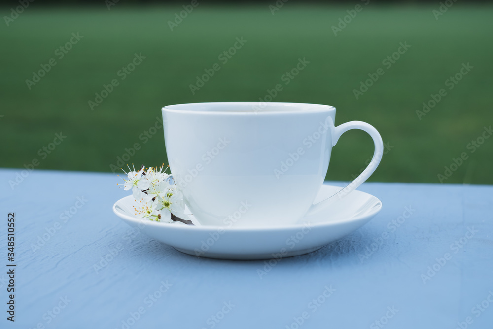 cherry blossom in white plate on table in open space. On a green background. Spring concept
cherry blossom in white plate on table in open space. On a green background. Spring concept