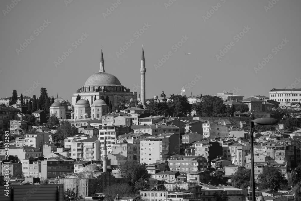 Obraz premium Mosque